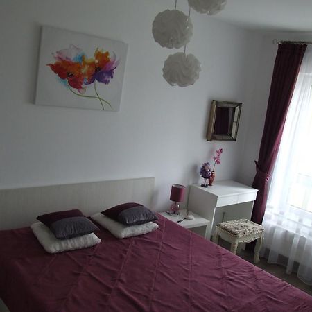 Anca Apartment Braşov Esterno foto