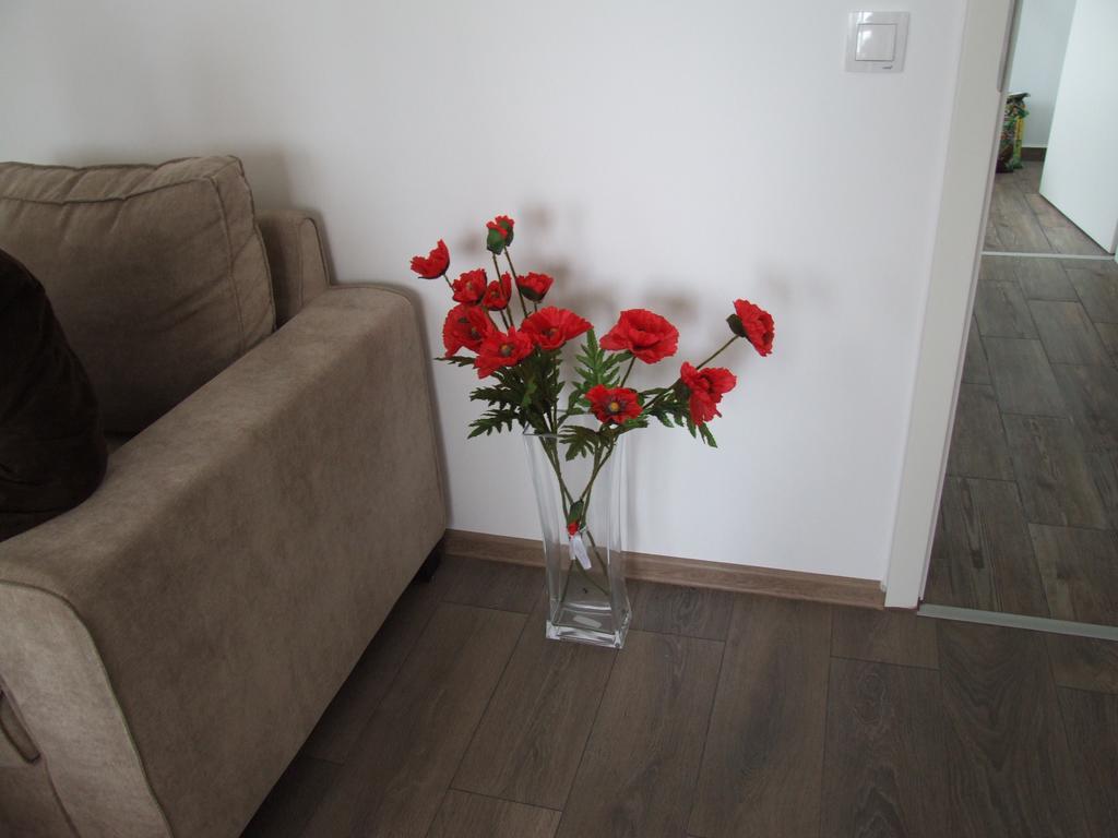 Anca Apartment Braşov Esterno foto