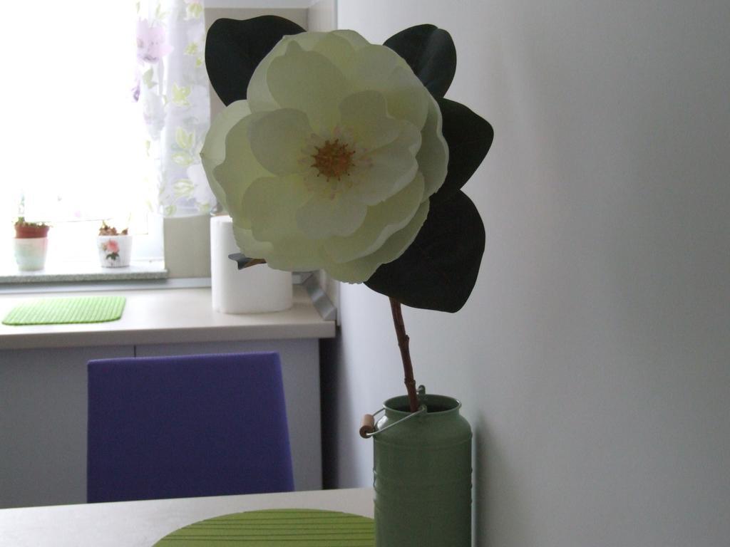 Anca Apartment Braşov Esterno foto