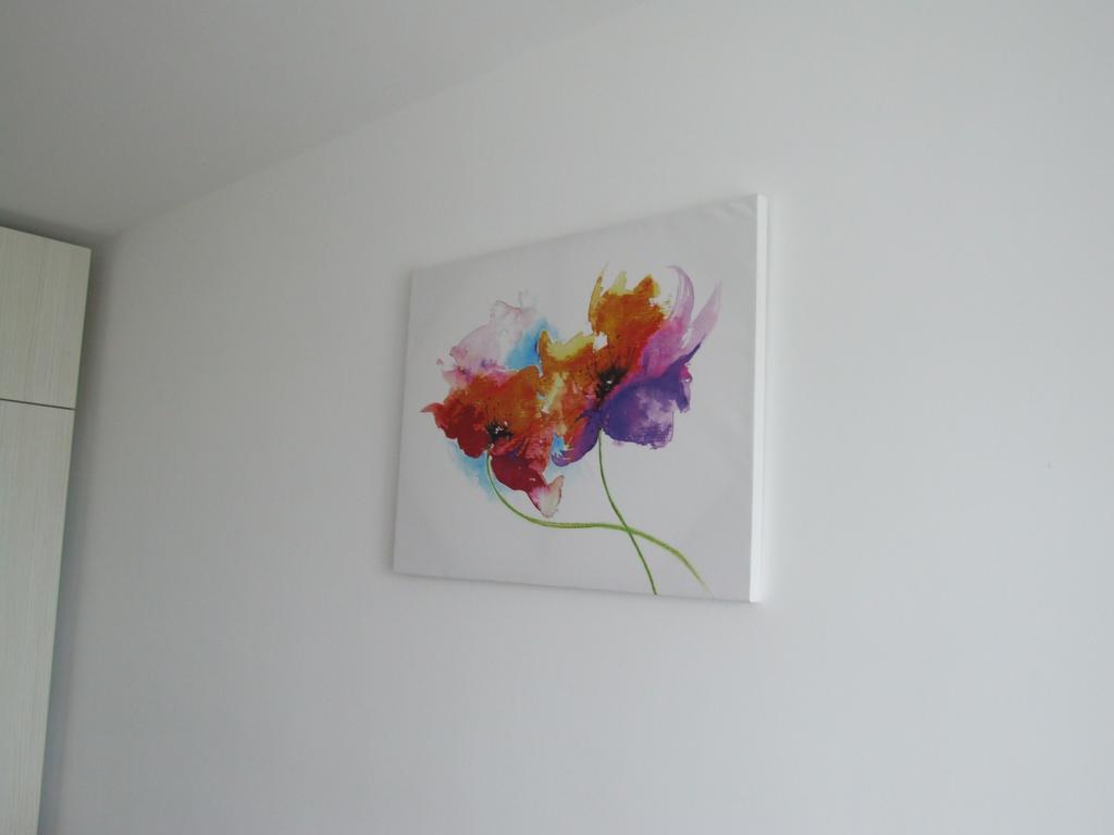 Anca Apartment Braşov Esterno foto