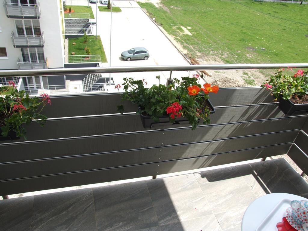 Anca Apartment Braşov Esterno foto