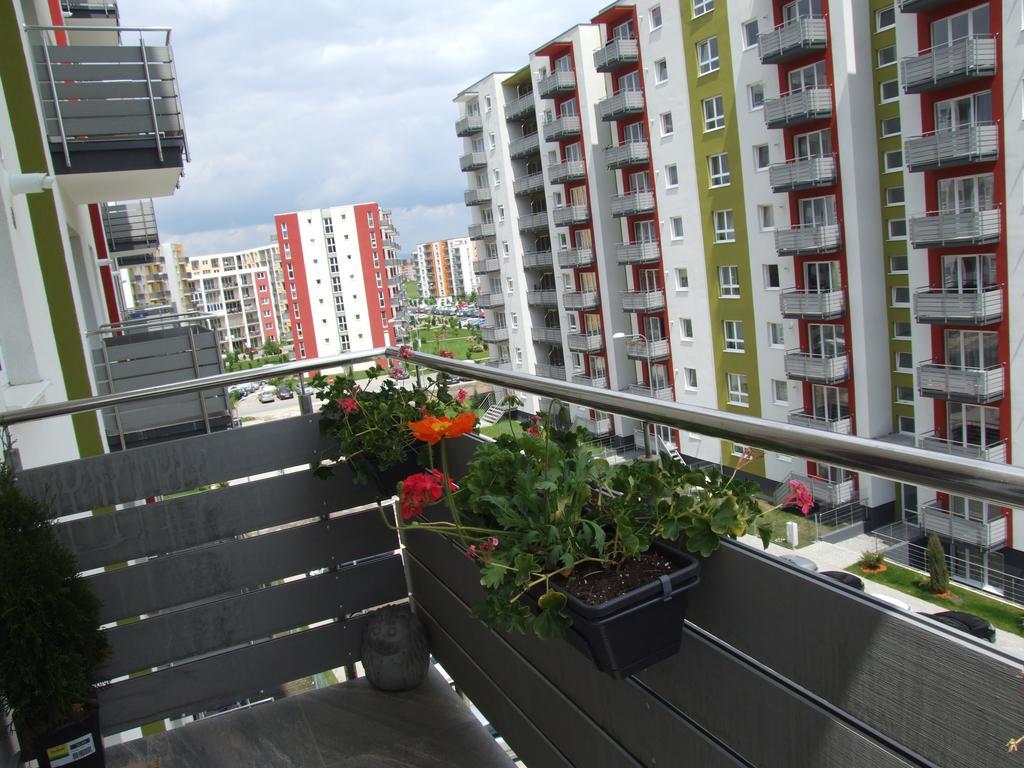 Anca Apartment Braşov Esterno foto